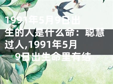 1991年5月9日出生的人是什么命：聪慧过人,1991年5月9日出生命里有结