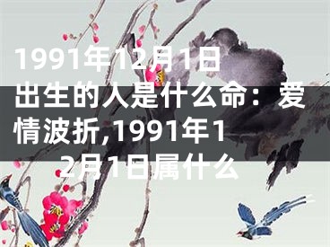 1991年12月1日出生的人是什么命：爱情波折,1991年12月1日属什么