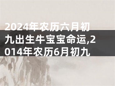 2024年农历六月初九出生牛宝宝命运,2014年农历6月初九