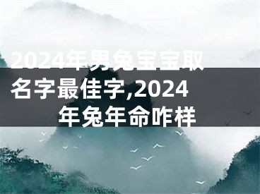 2024年男兔宝宝取名字最佳字,2024年兔年命咋样