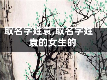取名字姓袁,取名字姓袁的女生的