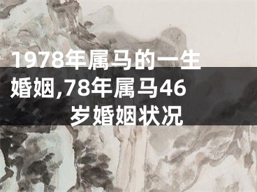 1978年属马的一生婚姻,78年属马46岁婚姻状况