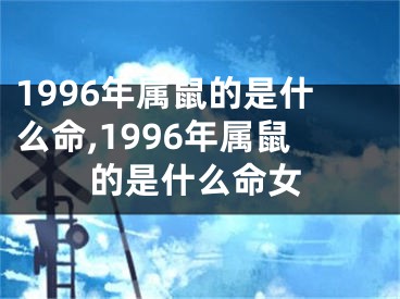 1996年属鼠的是什么命,1996年属鼠的是什么命女