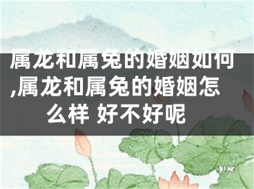 属龙和属兔的婚姻如何,属龙和属兔的婚姻怎么样 好不好呢