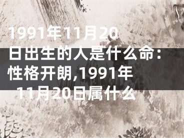 1991年11月20日出生的人是什么命：性格开朗,1991年11月20日属什么