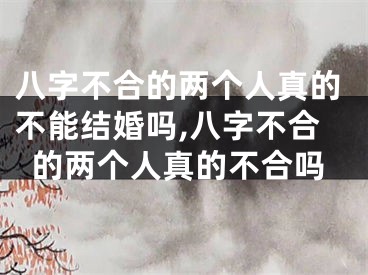 八字不合的两个人真的不能结婚吗,八字不合的两个人真的不合吗