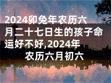 2024卯兔年农历六月二十七日生的孩子命运好不好,2024年农历六月初六