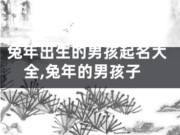 兔年出生的男孩起名大全,兔年的男孩子