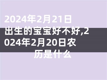 2024年2月21日出生的宝宝好不好,2024年2月20日农历是什么