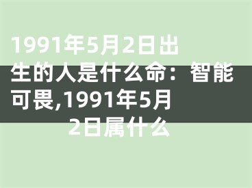 1991年5月2日出生的人是什么命：智能可畏,1991年5月2日属什么