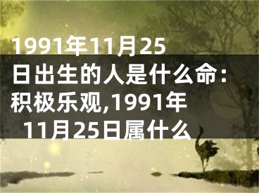 1991年11月25日出生的人是什么命：积极乐观,1991年11月25日属什么