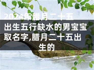 2024年腊月二十五出生五行缺水的男宝宝取名字,腊月二十五出生的