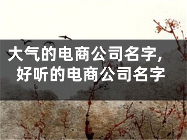 大气的电商公司名字,好听的电商公司名字