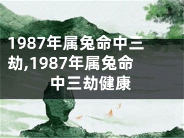 1987年属兔命中三劫,1987年属兔命中三劫健康