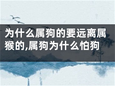 为什么属狗的要远离属猴的,属狗为什么怕狗