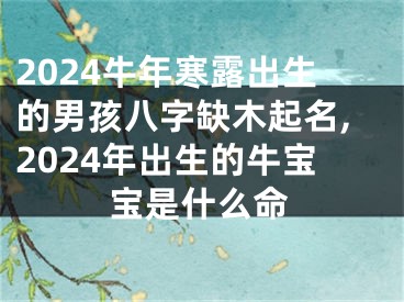 2024牛年寒露出生的男孩八字缺木起名,2024年出生的牛宝宝是什么命