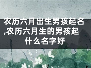 农历六月出生男孩起名,农历六月生的男孩起什么名字好