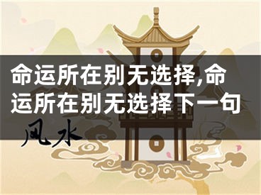命运所在别无选择,命运所在别无选择下一句