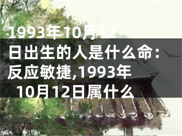 1993年10月12日出生的人是什么命：反应敏捷,1993年10月12日属什么