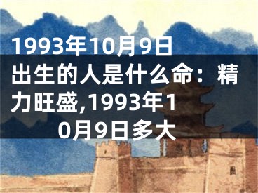 1993年10月9日出生的人是什么命：精力旺盛,1993年10月9日多大