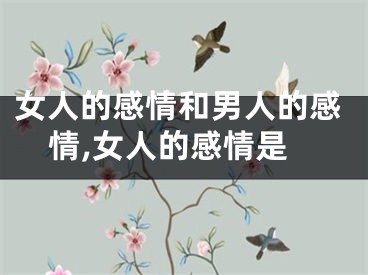 女人的感情和男人的感情,女人的感情是
