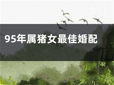 95年属猪女最佳婚配