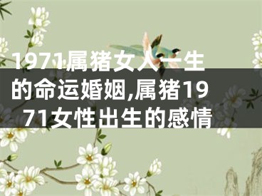 1971属猪女人一生的命运婚姻,属猪1971女性出生的感情