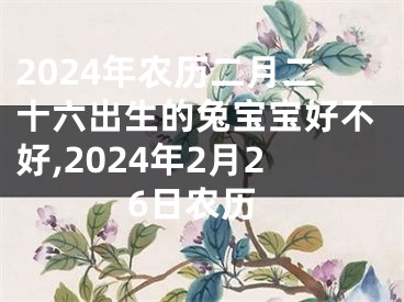 2024年农历二月二十六出生的兔宝宝好不好,2024年2月26日农历