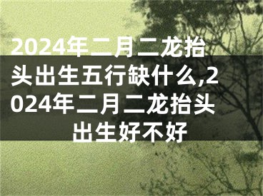 2024年二月二龙抬头出生五行缺什么,2024年二月二龙抬头出生好不好