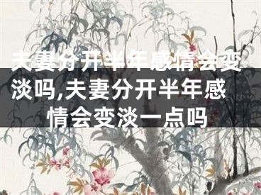 夫妻分开半年感情会变淡吗,夫妻分开半年感情会变淡一点吗