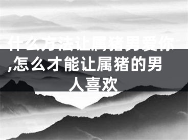 什么方法让属猪男爱你,怎么才能让属猪的男人喜欢
