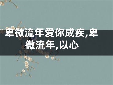 卑微流年爱你成疾,卑微流年,以心
