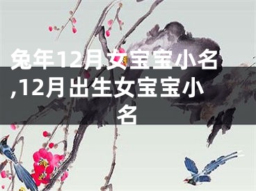 兔年12月女宝宝小名,12月出生女宝宝小名