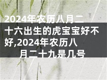 2024年农历八月二十六出生的虎宝宝好不好,2024年农历八月二十九是几号