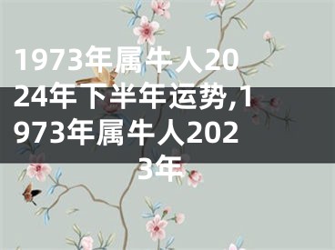 1973年属牛人2024年下半年运势,1973年属牛人2023年