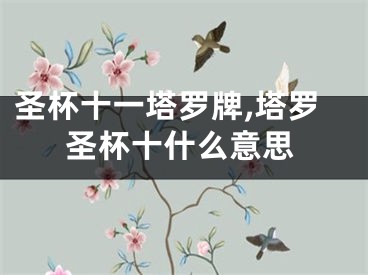 圣杯十一塔罗牌,塔罗圣杯十什么意思