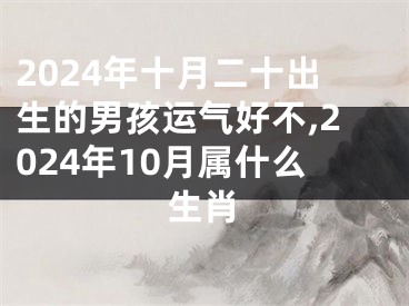 2024年十月二十出生的男孩运气好不,2024年10月属什么生肖