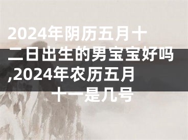 2024年阴历五月十二日出生的男宝宝好吗,2024年农历五月十一是几号