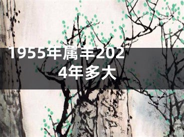1955年属羊2024年多大