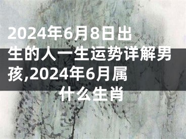 2024年6月8日出生的人一生运势详解男孩,2024年6月属什么生肖