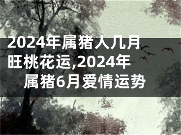 2024年属猪人几月旺桃花运,2024年属猪6月爱情运势