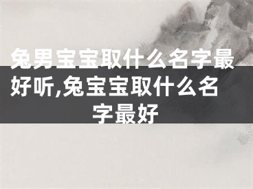 兔男宝宝取什么名字最好听,兔宝宝取什么名字最好