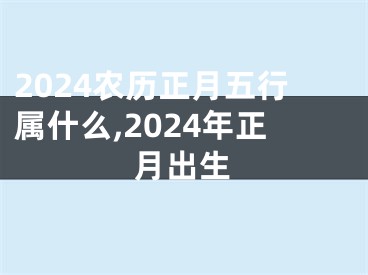 2024农历正月五行属什么,2024年正月出生