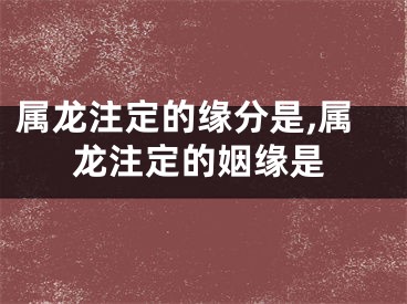 属龙注定的缘分是,属龙注定的姻缘是