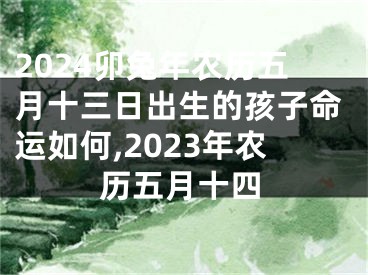 2024卯兔年农历五月十三日出生的孩子命运如何,2023年农历五月十四
