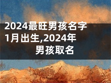 2024最旺男孩名字1月出生,2024年男孩取名