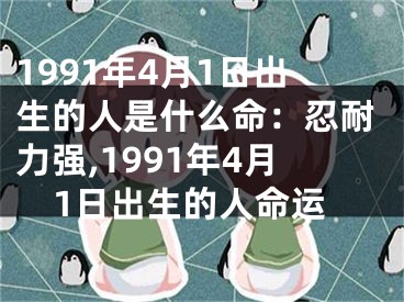 1991年4月1日出生的人是什么命：忍耐力强,1991年4月1日出生的人命运