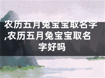 农历五月兔宝宝取名字,农历五月兔宝宝取名字好吗