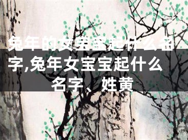 兔年的女宝宝起什么名字,兔年女宝宝起什么名字、姓黄