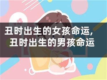 丑时出生的女孩命运,丑时出生的男孩命运